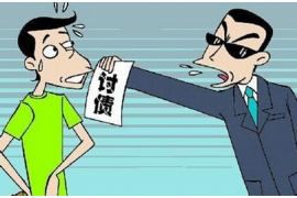 嵩县融资清欠服务